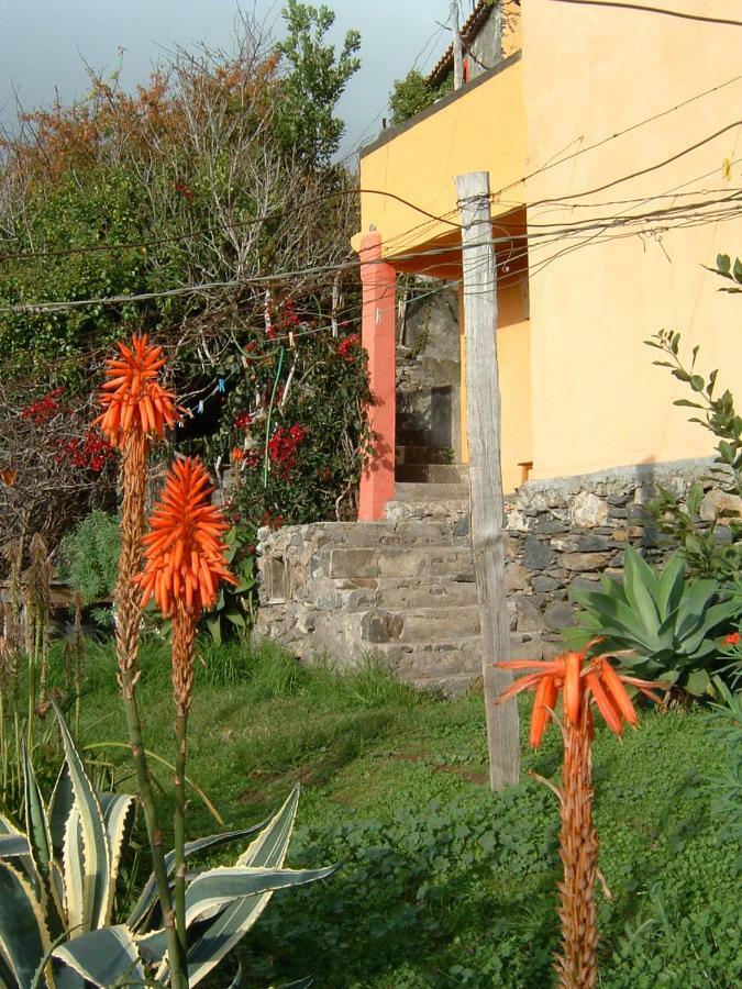 Estreito Da Calheta Madeira-Meerblick-Haus מראה חיצוני תמונה
